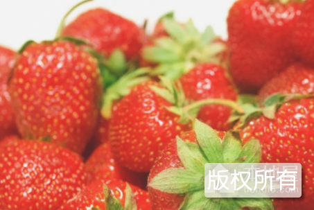 杜山草莓