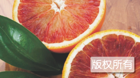 春红血橙
