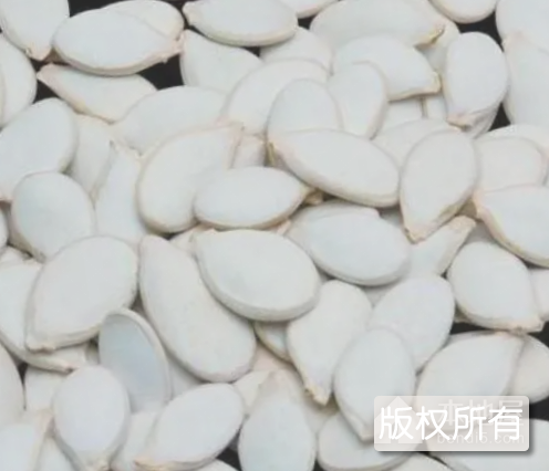 双边白瓜子