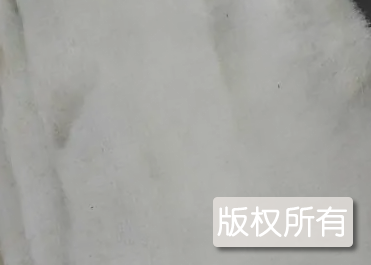 红安臭皮子