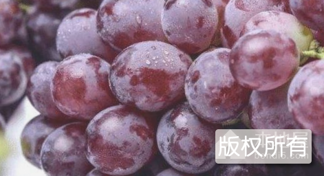 华蓥山葡萄