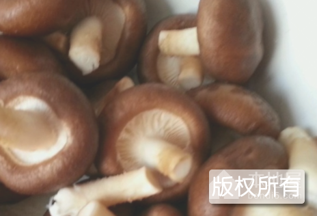 香菇活肉