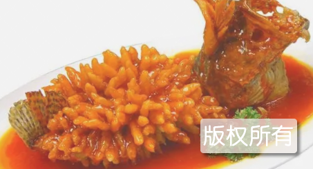 松鼠鳜鱼