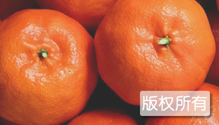 龙会红桔