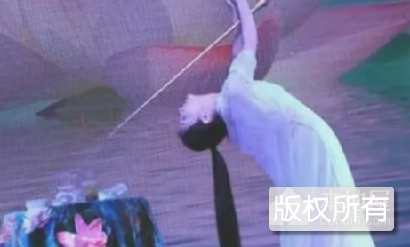 鹤凤舞