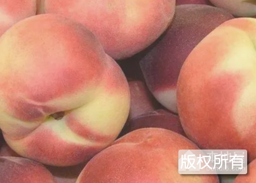 安农水蜜桃