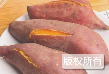 新野红薯