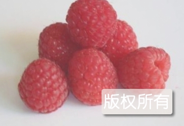 登仕堡子镇树莓