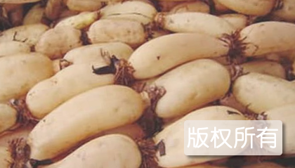 沔城藕