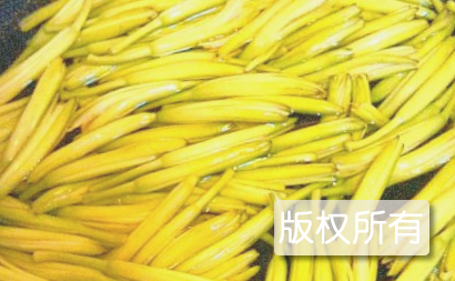 内蒙古黄花菜