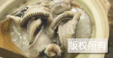 水蛇粥