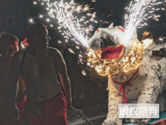 南张井老虎火