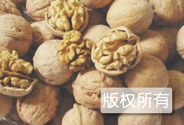 灵寿核桃