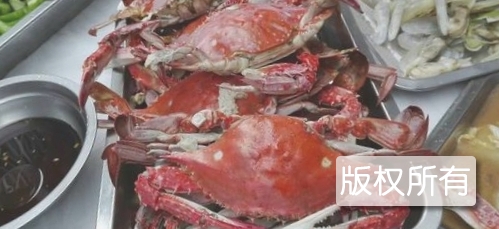 北戴河螃蟹