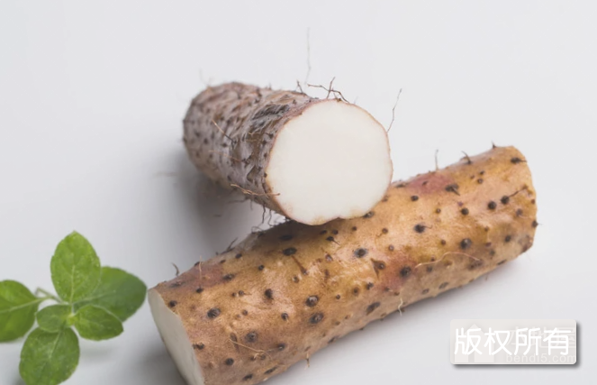 岔房子山药