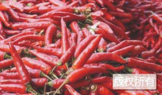 会龙辣椒