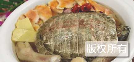 茯苓龟汤