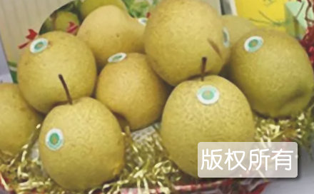 高平黄梨