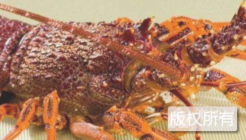 宜秀龙虾