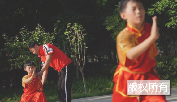 清河曦阳掌太平拳