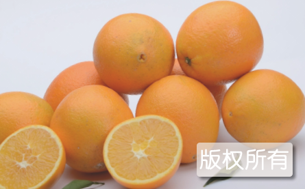 德保脐橙