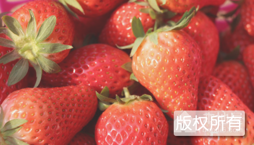 崔家庄草莓