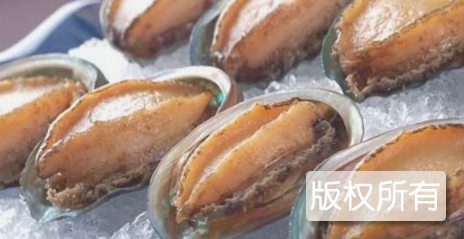 鲍鱼