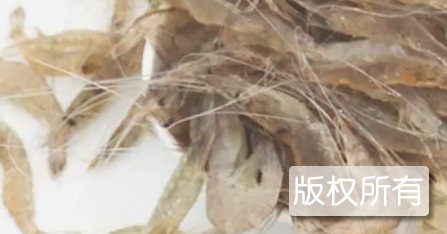 斗门河虾
