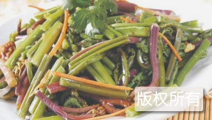 和政蕨菜