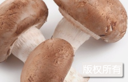 张家界香菇
