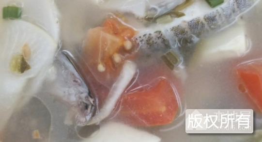 孤岛鲜鱼汤
