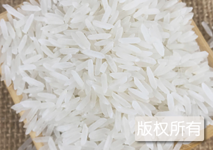 金寨高山米