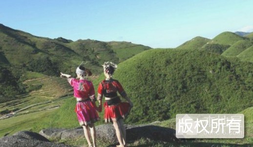 桂东客家采茶调