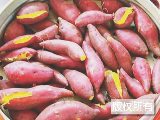 光坡红香薯