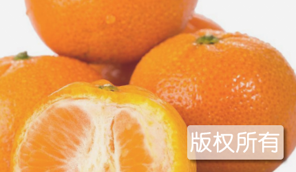 雪峰蜜桔