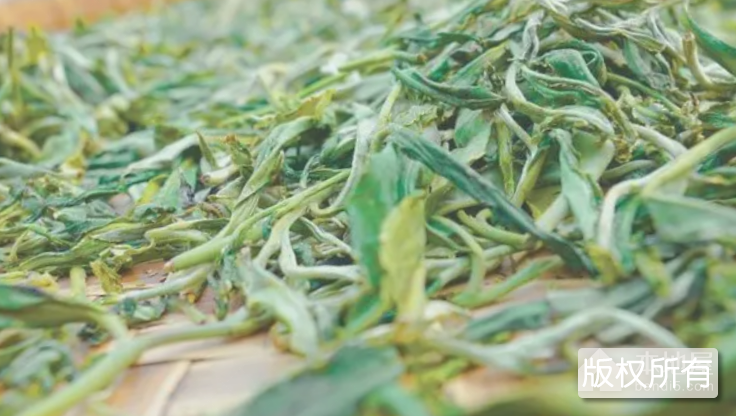 百岁茶