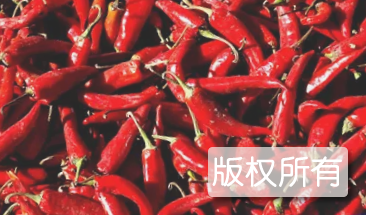 和县辣椒