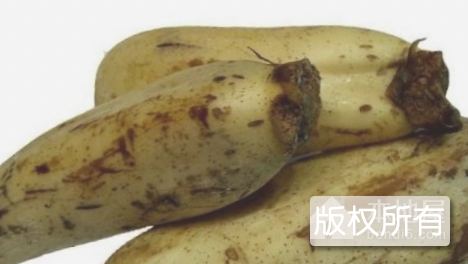 八湖莲藕