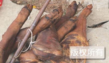 腊蹄子