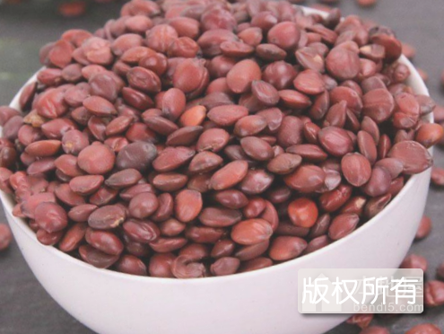 酸枣仁