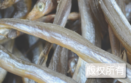 小清河面鱼