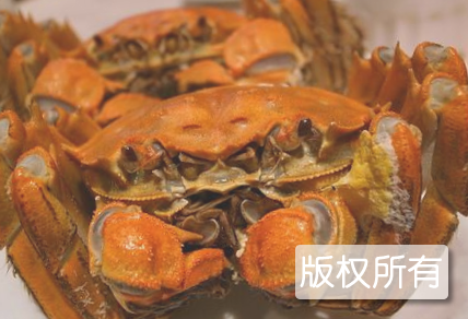 女山湖镇毛蟹