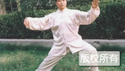 和式太极拳