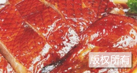 盛飞烧鹅皇