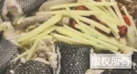 蛇煲鸡