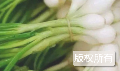 耒阳盐藠头