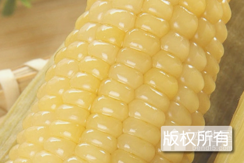 肇州糯玉米