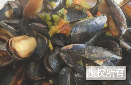 野生贻贝