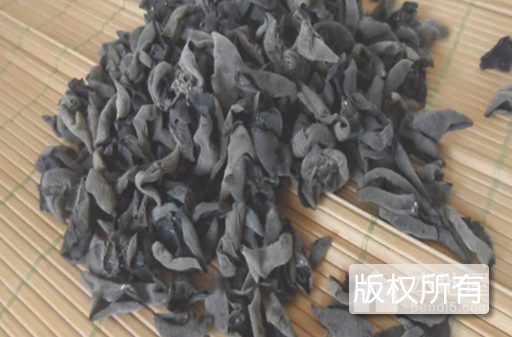杜蒙秋木耳