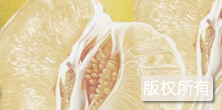 资中沙溪蜜柚